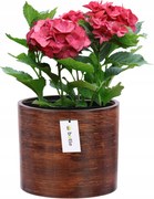 Virágcserép kerámia fedél Ø 13,5cm H 12,5cm szín Sötét fa matt