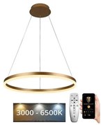 Brilagi - LED Dimmelhető csillár zsinóron CIRCLE LED/42W/230V 3000-6500K + távirányító