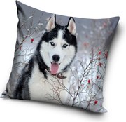 Kutyás Husky párnahuzat 40x40 cm