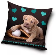 Kutyás Baseball Glove párnahuzat 40x40 cm