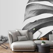 Fotótapéta - Levelek (152,5x104 cm)