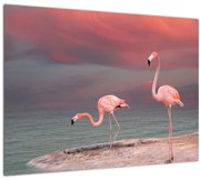 Flamingók képe (70x50 cm)