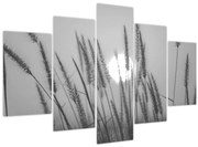 Kép - Mező naplementében (150x105 cm)