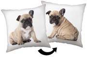 Gyerek párna 40x40 cm Bulldog – Jerry Fabrics