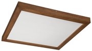 Brilagi-LED Dimmelhető lámpa WOODY FRAME LED/50W/230V tölgy 60x60 cm IP44 + távirányító