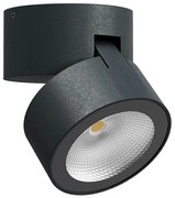 Redo 90627 - LED kültéri spotlámpa SHAFT LED/13W/230V IP65 antracit