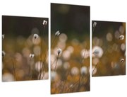 Kép - Gyapotfűvel borított rét N⁰2 (90x60 cm)