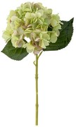 Művirág (magasság 36 cm) Hydrangea – Bloomingville