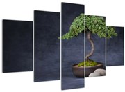 Kép - Bonsai (150x105 cm)