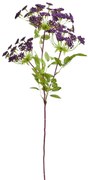 Művirág ANETHUM lila árnyalatok 75 cm