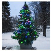 Eglo 410719 - LED Kültéri karácsonyi lánc SERIE LED 160xLED 2m IP44 többszínű