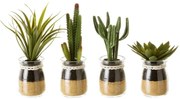 Műnövény szett 4 db-os (magasság 18 cm) Cactus – Casa Selección