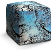 Cube zsámoly csupasz ágak, kék