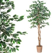 PLANTASIA Műnövény fikusz 190 cm