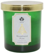 AromeCandle színes üvegből, fedéllel, Woodlandfenyő, 125 g