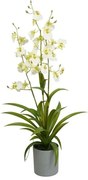 Selyemvirág lepkeorchidea 3 ágú Oncidium műanyag kaspóban 70 cm