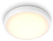 Philips Philips - LED Fürdőszobai mennyezeti lámpa BALANCE LED/17W/230V IP44 P4565