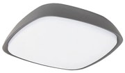 Rabalux 8797 - LED Kültéri mennyezeti lámpa AUSTIN LED/20W/230V IP65