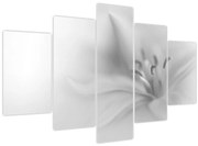 Kép - Delicate Lily (150x105 cm)