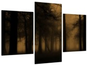 Kép - Sötét erdő (90x60 cm)