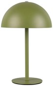 Zöld LED asztali lámpa fém búrával (magasság 21 cm) Munoz – Trio