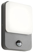 Redo 90133 - COLIN LED kültéri fali lámpa s érzékelővel 1xLED/9W/230V IP54