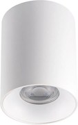 Kanlux 27569 - Mennyezeti lámpa RITI 1xGU10/25W/230V fehér