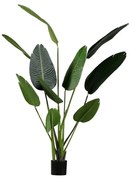 Papagájvirág műnövény (magasság 164 cm) – WOOOD