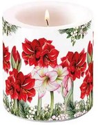 Átvilágítós gyertya 8x7,5 cm Karácsonyi Amarillisz