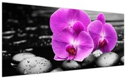 Kép - Lila orchideák (120x50 cm)