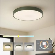 Brilagi - LED mennyezeti lámpatest POOL LED/60W/230V 3000/4000/6000K 50 cm zöld