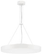 Perfect egyágú függesztett lámpa