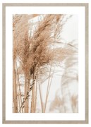 Grass in the wind No.1 kép