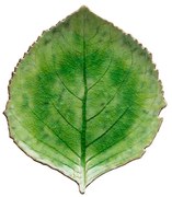 Riviera zöld agyagkerámia tányér, 19 x 22 cm - Costa Nova