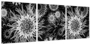 Kép - Fekete és fehér gyűszűvirág (órával) (90x30 cm)