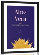 Poszter paszportuval  Aloe Vera felirattal