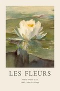 Reprodukció White Water Lily (Les Fleurs / The Flower Collection)