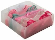 Compactor fiókos rendszerező fehérneműkhöz Optimo, 6 rekesszel