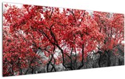 Kép - vörös fák, Central Park, New York (120x50 cm)