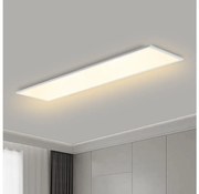 Brilagi - LED Mennyezeti lámpa SLIMFRAME LED/58W/230V 120x30 cm fehér