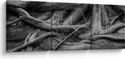 Kép - A fa gyökerei (órával) (90x30 cm)