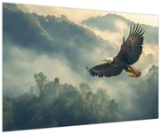 Kép - Repülő sas (90x60 cm)
