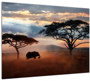 Kép - Serengeti Nemzeti Park, Tanzánia, Afrika (70x50 cm)