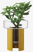 LSA International Terrazza virágcserép, h 22 cm, Ø19 cm, átlátszó/mustársárga - LSA nemzetközi