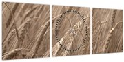 Kép - Az arany mező (órával) (90x30 cm)