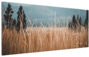 Kép - réti növényzet részlete (120x50 cm)