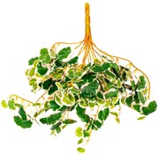 Saxifraga lógó dekoratív műnövény , magasság 50 cm