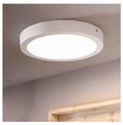 Eglo 96168 - FUEVA 1 LED fürdőszobai mennyezeti lámpa 22W/230V IP44