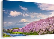 Kép - Japán tavaszi táj (90x60 cm)