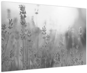 Kép - Levendula (90x60 cm)